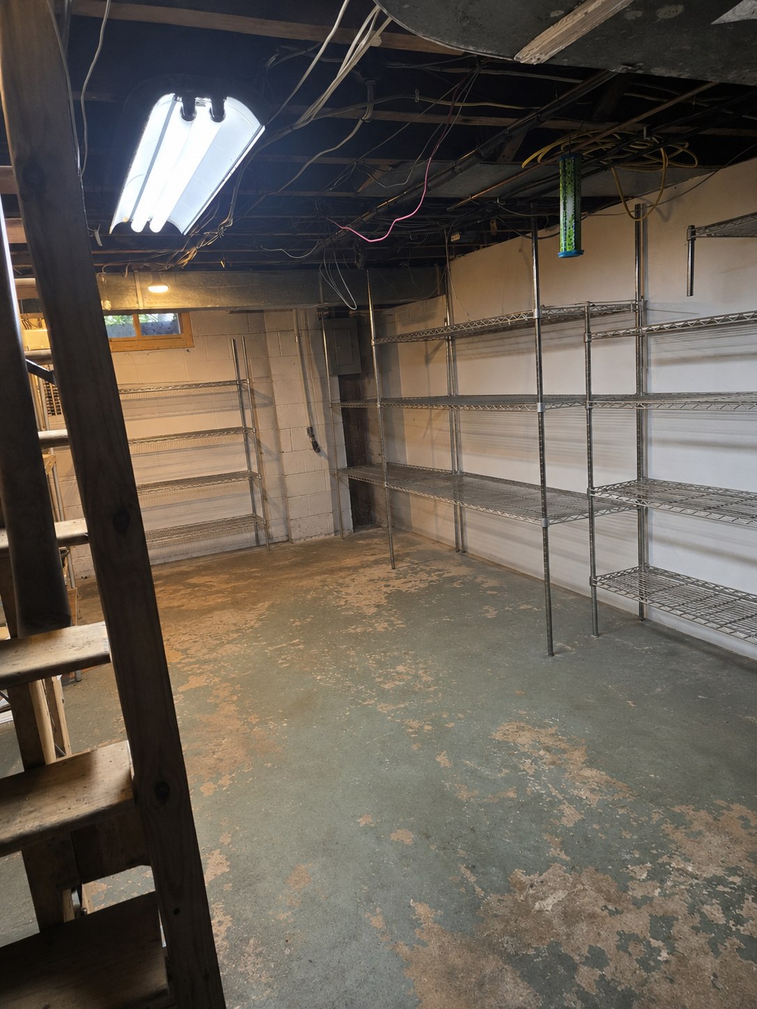 Reverse view of lower-level storage with wire shelving